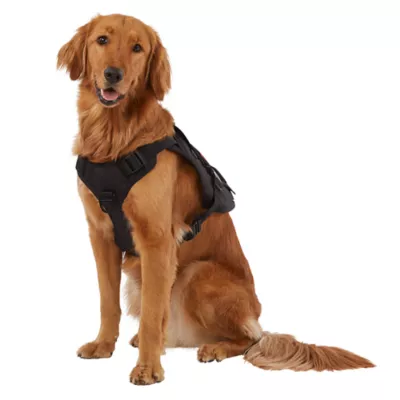 Product KONG® Tactical Vest Dog Harness