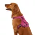 KONG® Reflective Waste Bag Dog Harness image thumbnail 2
