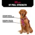 KONG® Reflective Waste Bag Dog Harness image thumbnail 3