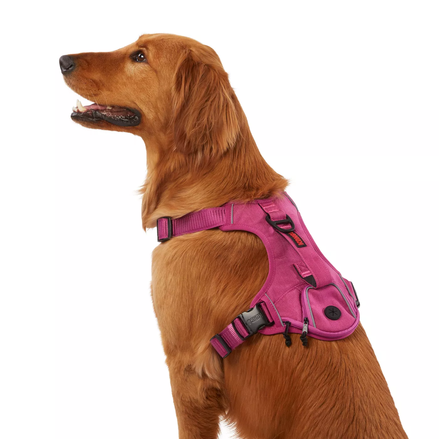 KONG Reflective Waste Bag Dog Harness