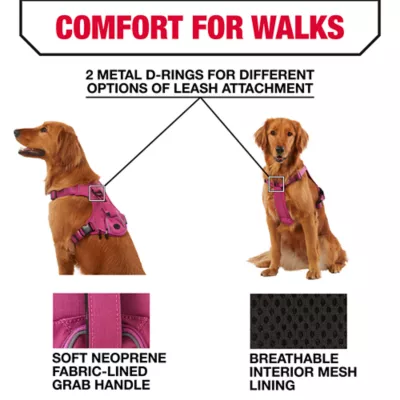 Product KONG® Reflective Waste Bag Dog Harness