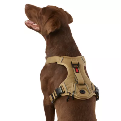 Product KONG® Reflective Waste Bag Dog Harness