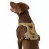 KONG® Reflective, Adjustable, Poop Bag Holder, Dog Harness image thumbnail 1
