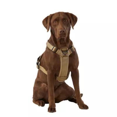 Product KONG® Reflective Waste Bag Dog Harness