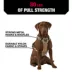KONG® Reflective, Adjustable, Poop Bag Holder, Dog Harness image thumbnail 3