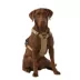 KONG® Reflective, Adjustable, Poop Bag Holder, Dog Harness image thumbnail 2