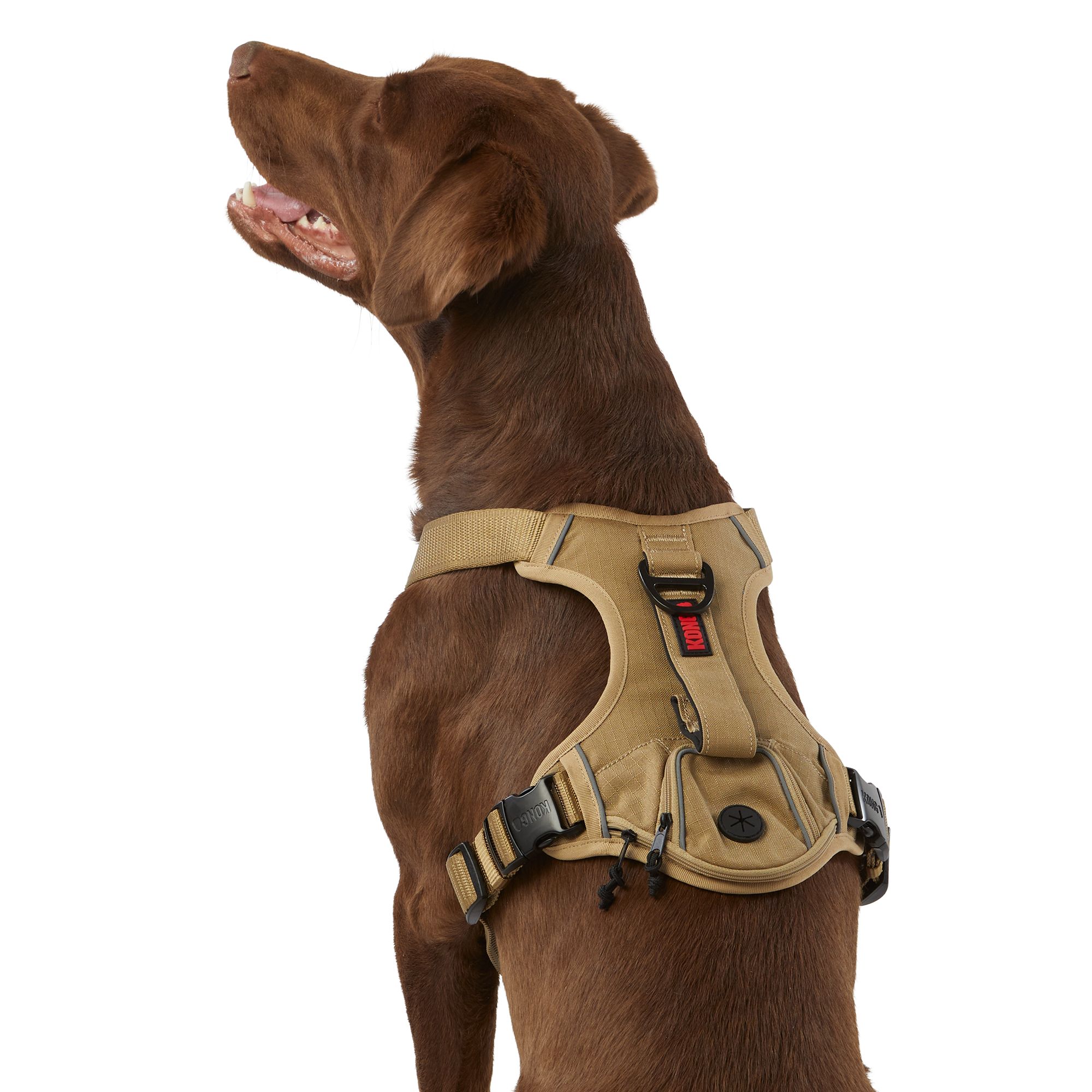 Petsmart weighted dog store vest