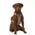 KONG® Reflective, Adjustable, Poop Bag Holder, Dog Harness image thumbnail 2