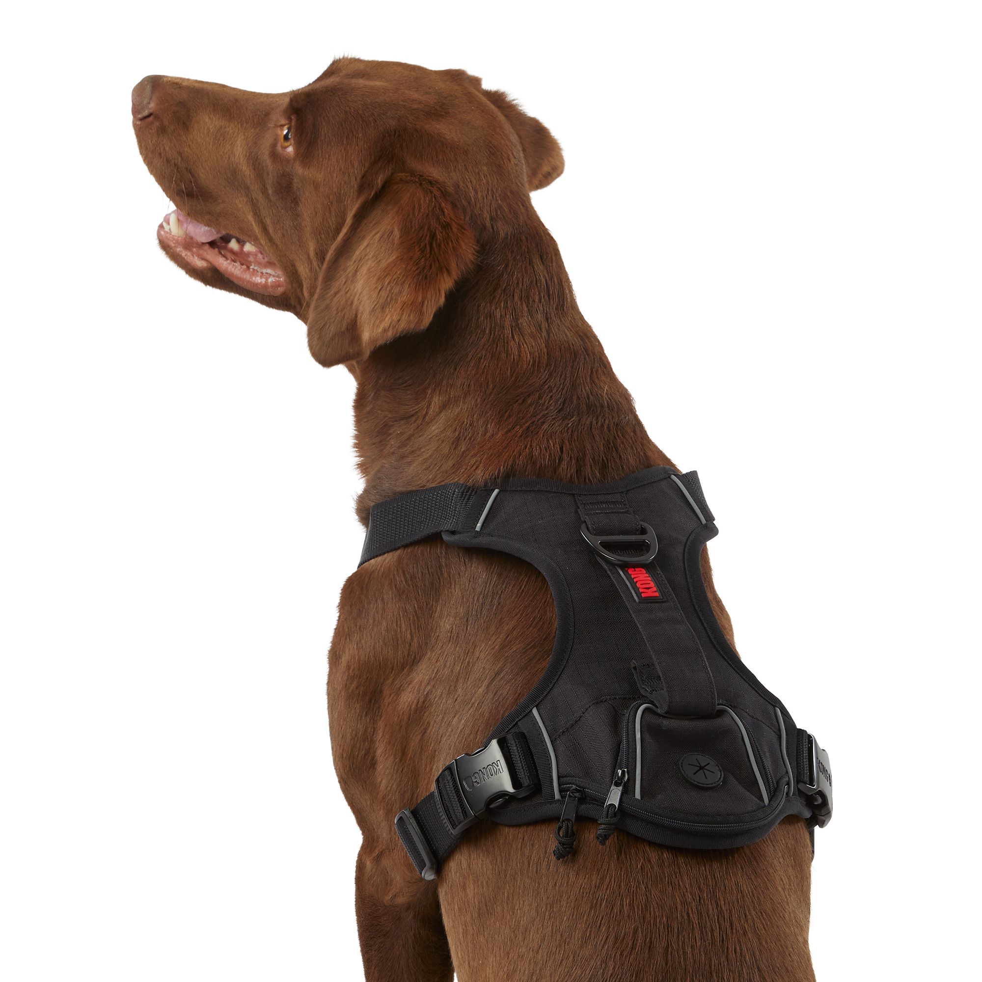 Kong Ultra Durable Waste Bag Harness Medium Black