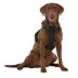 KONG® Reflective, Adjustable, Poop Bag Holder, Dog Harness image thumbnail 2