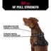 KONG® Reflective, Adjustable, Poop Bag Holder, Dog Harness image thumbnail 3