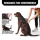 Product KONG® Reflective Waste Bag Dog Harness