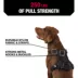 KONG® Reflective, Adjustable, Poop Bag Holder, Dog Harness image thumbnail 3