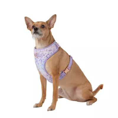 Top Paw Purple Cheetah Dog Harness