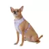 Top Paw® Cheetah Dog Harness image thumbnail 1