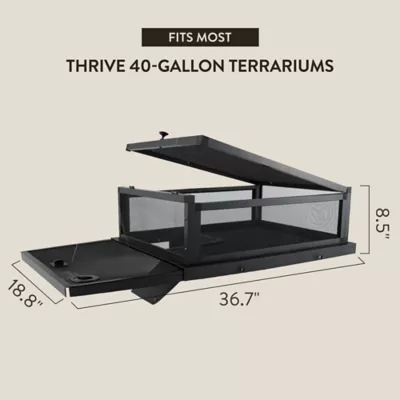 Product Thrive Turtle Elevated Basking Loft