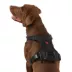 KONG® Reflective, Adjustable, Poop Bag Holder, Dog Harness image thumbnail 1
