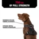 Product KONG® Reflective Waste Bag Dog Harness