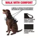 Product KONG® Reflective Waste Bag Dog Harness