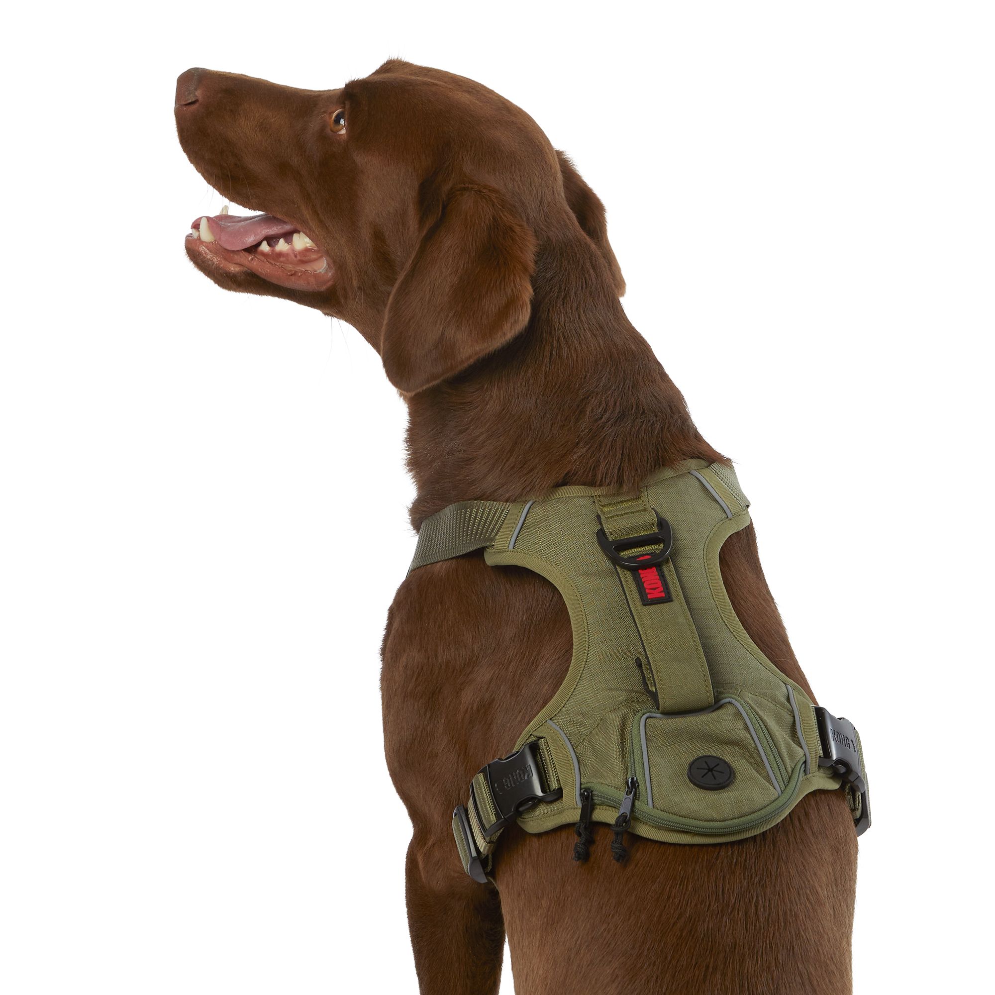 KONG Reflective Waste Bag Dog Harness