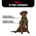 KONG® Reflective, Adjustable, Poop Bag Holder, Dog Harness image thumbnail 3
