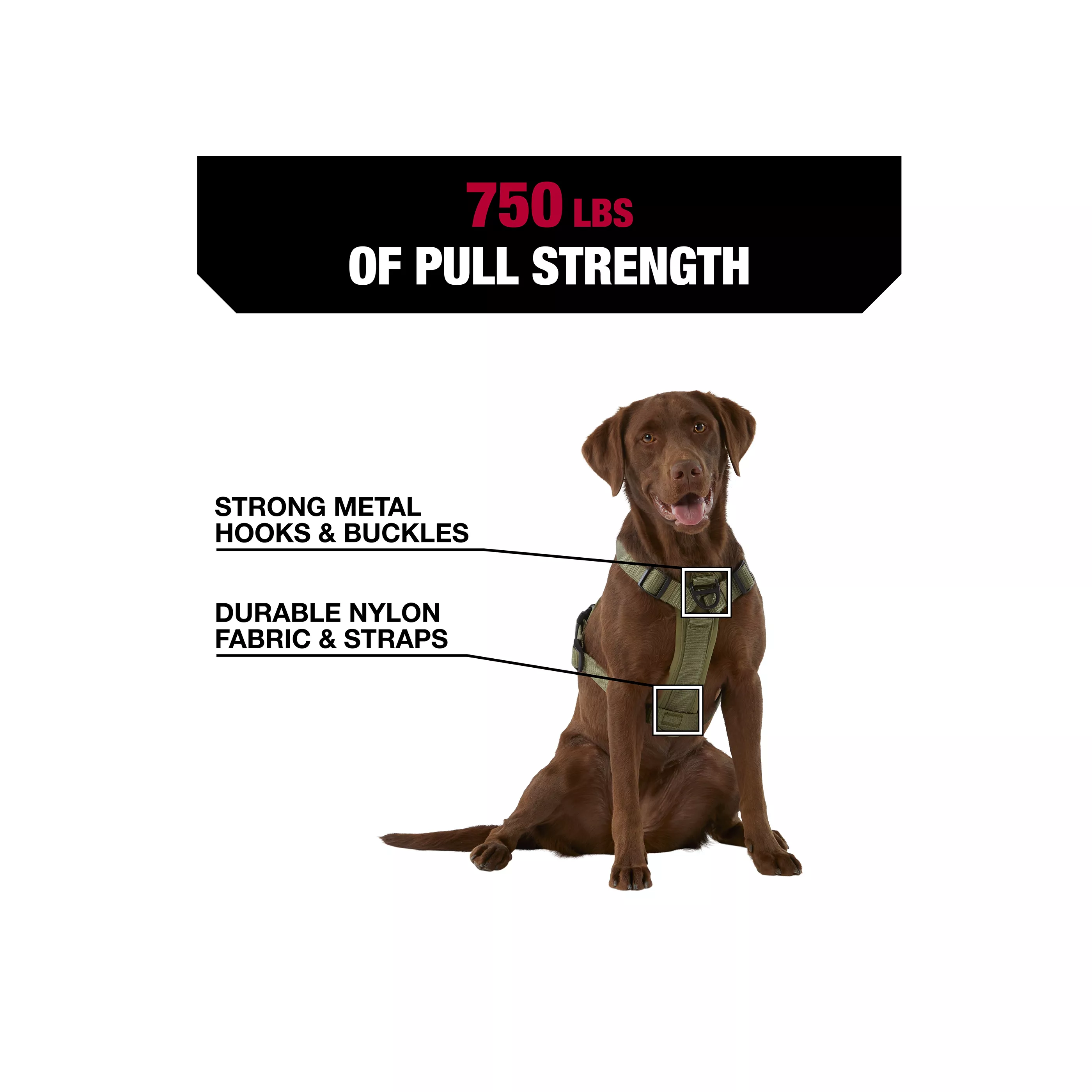 Pet Smart logo