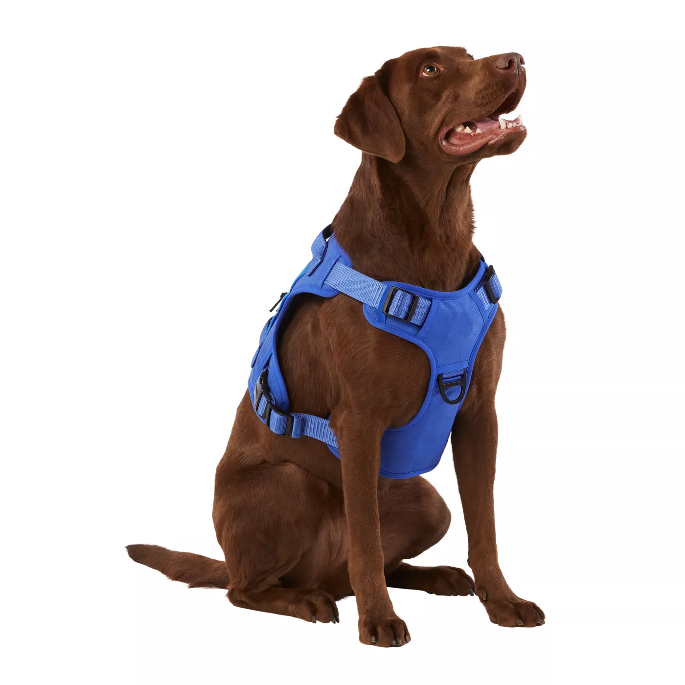 KONG Double Handle Vest Dog Harness