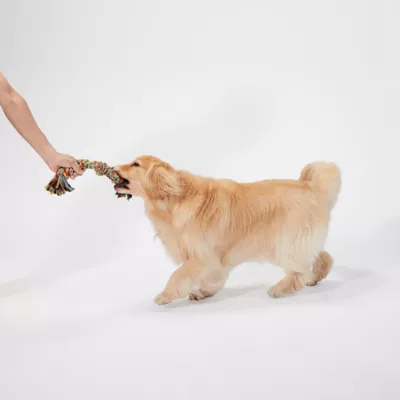 Product Joyhound Game On Tug Rope Dog Toy