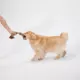 Product Joyhound Game On Tug Rope Dog Toy