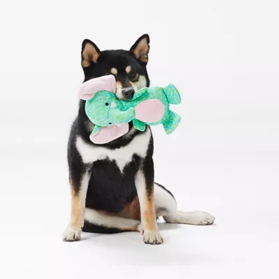 Crazy dog toys best sale