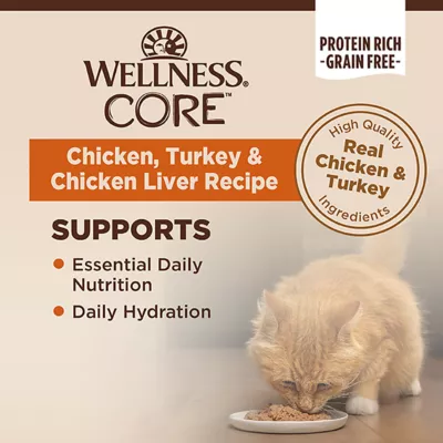 Product Wellness Core Classic Pate Wet Cat Food - 3 oz, Natural, Grain Free