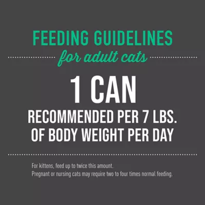 Tiki Cat® Luau Wet Cat Food - Non-GMO, Grain & Potato Free, 6oz - Image 5