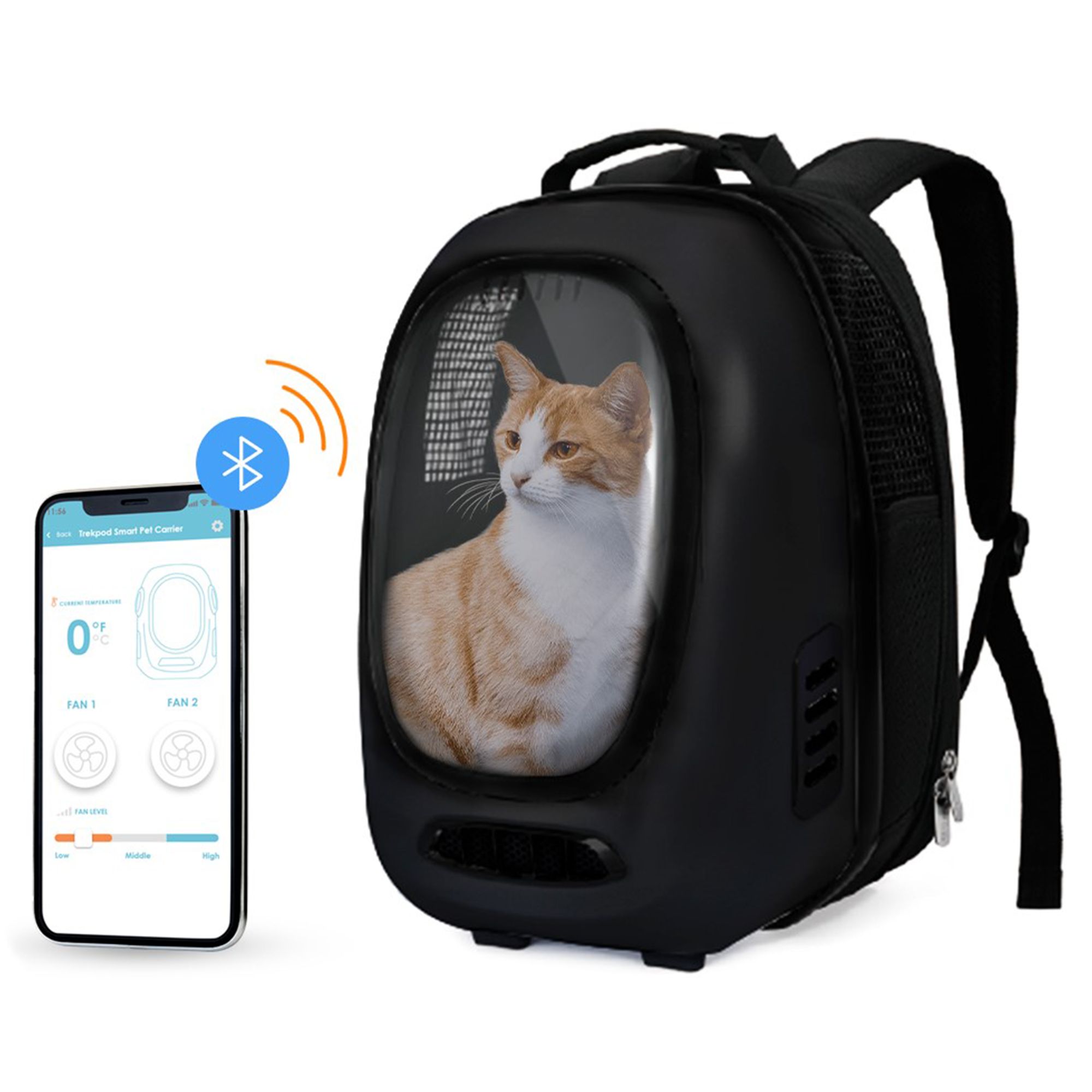 soft cat travel carrier