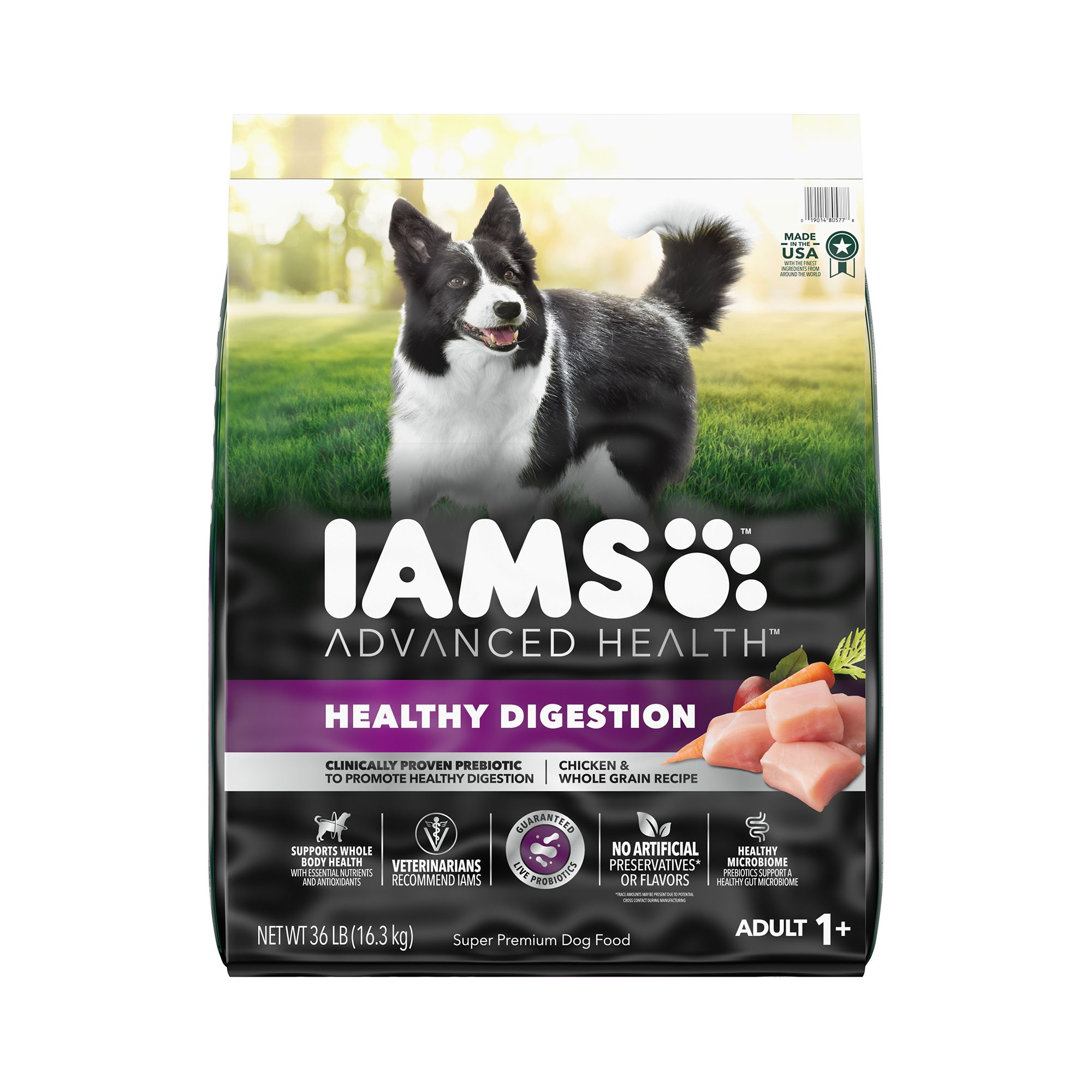 IAMS&trade; Advanced Health Adult Dry Dog Food - Healthy Digestion, Chicken & Whole Grains