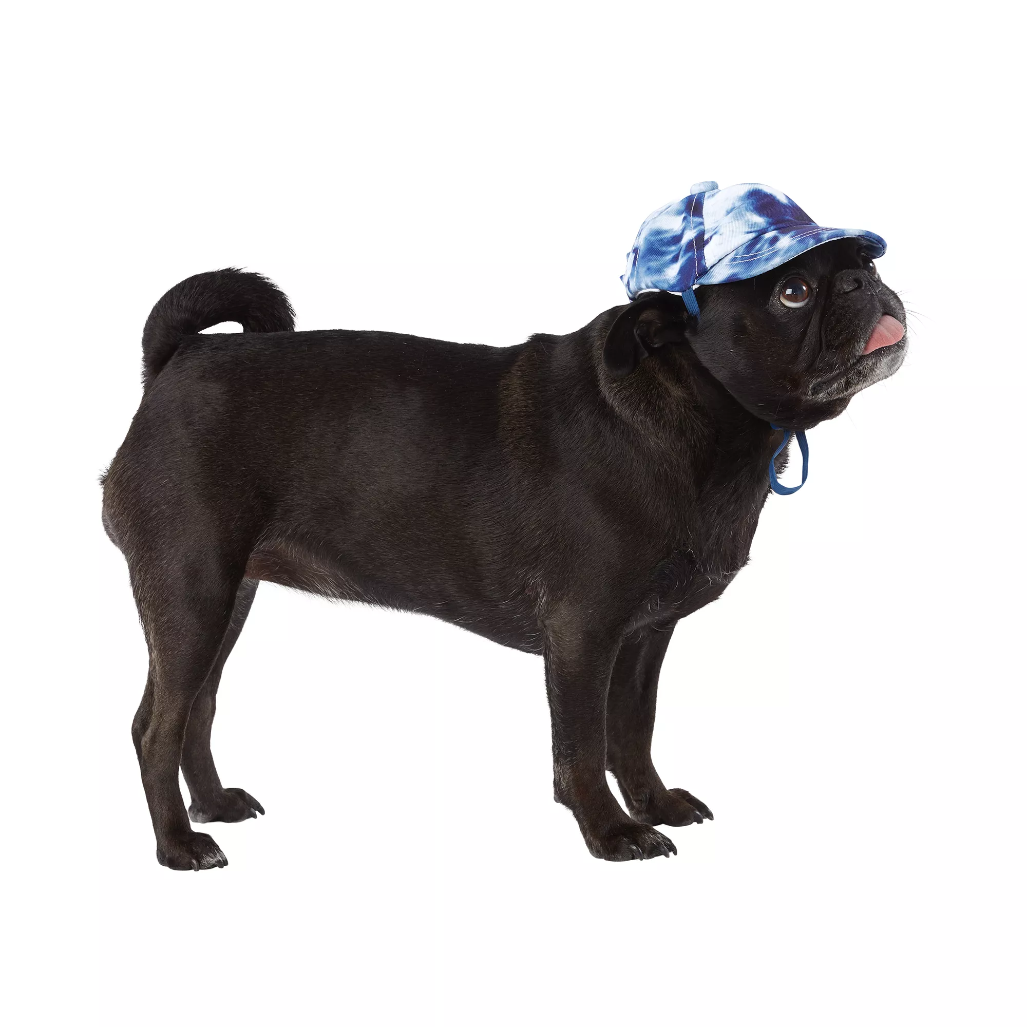 Top Paw® Blue Tie Dye Dog Hat