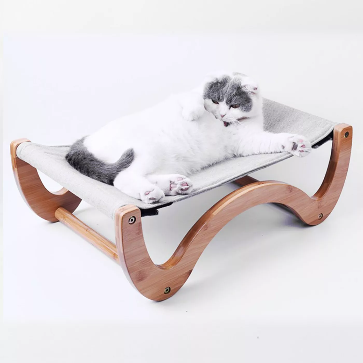 Cat beds petsmart best sale