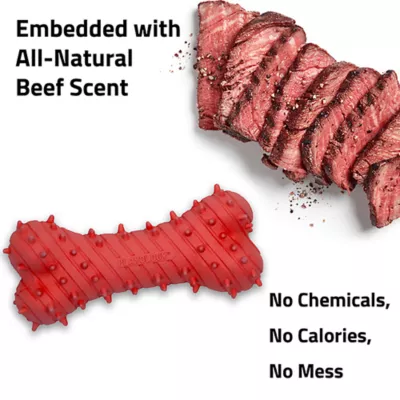 Playology ® Puppy Teething Bone Scented Dog Toy - Beef - Image 4