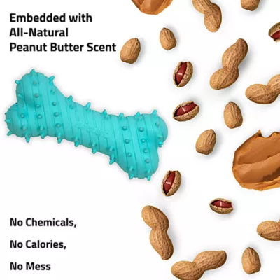 Playology® Puppy Teething Bone Scented Dog Toy - Peanut Butter - Image 4