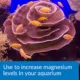 Product API® Marine Reef Aquarium Magnesium Solution