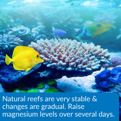 Product API® Marine Reef Aquarium Magnesium Solution