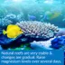 API® Marine Reef Aquarium Magnesium Solution image thumbnail 4
