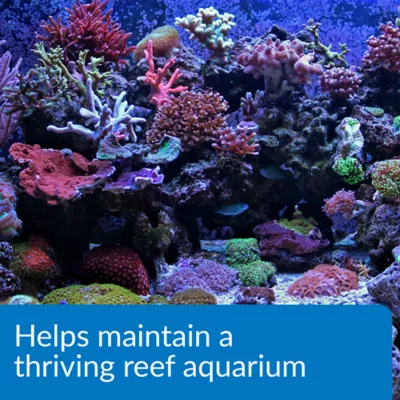 Product API® Marine Reef Aquarium Magnesium Solution