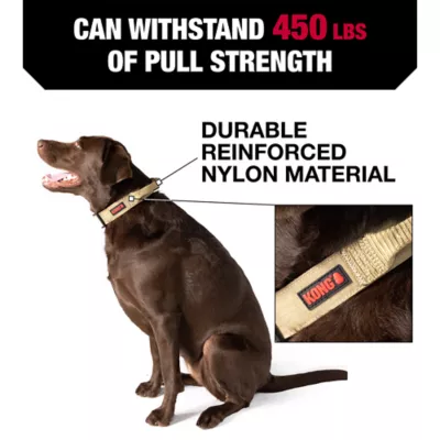Product KONG® Handle Dog Collar