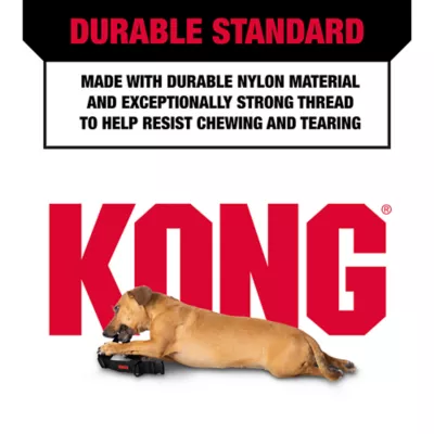 Product KONG® Handle Dog Collar