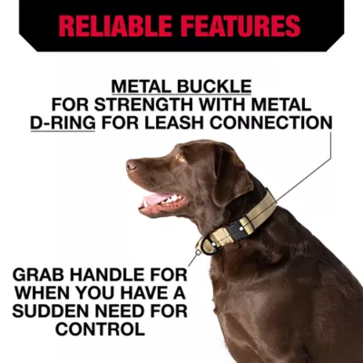 Product KONG® Handle Dog Collar