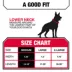 KONG® Handle Dog Collar, Chew Resistant, Durable, Multiple Sizes & Colors image thumbnail 5