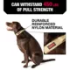 Product KONG® Handle Dog Collar