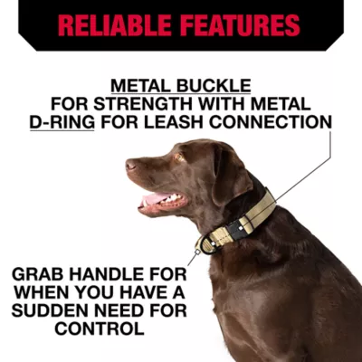 Product KONG® Handle Dog Collar