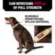 Product KONG® Handle Dog Collar