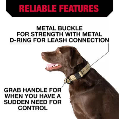 Product KONG® Handle Dog Collar